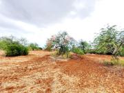 Terreno para construção Almancil