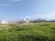 Terreno para construção com 2000m2 na Póvoa de Varzim