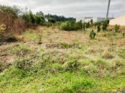 Terreno para construção com 2 artigos Calvão Vagos Aveiro
