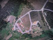 Terreno para construção com 3345 m2 Maceira Leiria