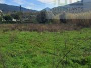 Terreno para construção com 4000m2, plano com vários...