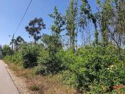 Terreno para construção com área de 5360,00m² em...