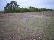 Terreno para Construção de Armazem