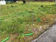 Terreno para construção de moradia na Vista Alegre Ílhavo