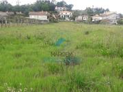 Terreno construção e cultivo – 6000m2 c/moradia devoluta