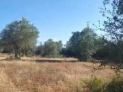 Terreno para construção em Alcácer do Sal Santa Maria do...