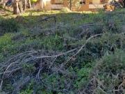 Terreno para Construção em Altura á Estrada D. Miguel |...