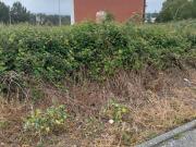 Terreno para construção em Argoncilhe de 552,00 m²