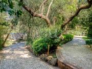 Terreno para construção em Birre