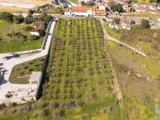 Terreno para construção em Carvalhal