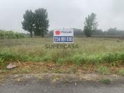 Terreno para construção em Estarreja