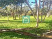 Terreno para construção em Famalicão