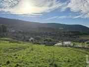 Terreno para construção em Lamas e Cercal