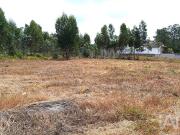 Terreno para construção em Marinha Grande