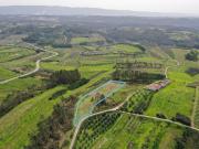 Terreno para construção em Montes, Alcobaça