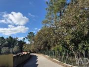 Terreno para construção em Pedreiras
