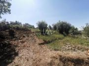 Terreno para construção em Souselas