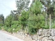 Terreno para construção em Termas de São Vicente de...