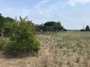 Terreno para construção junto á Ria Gafanha da Nazaré