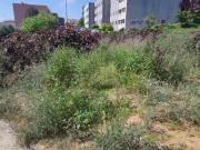 Terreno para construção Junto Hospital Gaia | 25113339787