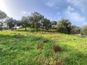 Terreno para Construção Localização Privilegiada,...