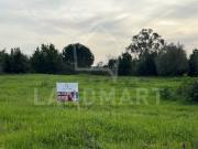 Terreno para construção, Moleanos