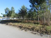 Terreno para construção na zona de Monte Real