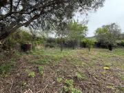 Terreno para Construção | São Brás de Alportel