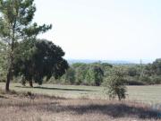 Terreno para construção T10 em Melides de 500,00 m² Terreno para construção T10 em Melides de 500,00 m²