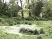 Terreno para construção T8 em Poceirão e Marateca de...