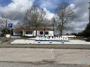 Terreno Para Construção Venda em Biscainho,Coruche |...