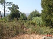 Terreno Para Construção Venda em Gondomar São Cosme,...