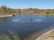 Terreno Para Construção Venda em São Bartolomeu de...