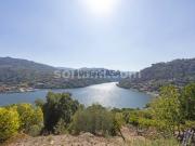 Terreno Para Construção Venda em Santa Cruz do Douro e...