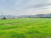 Terreno para construção – Vila Nova de Famali