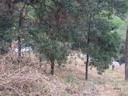 Terreno para construir 1020 m2