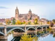 Terreno para construir 1742 m2