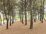 Terreno para construir 2162 m2