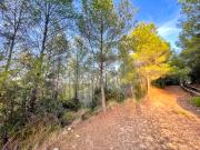 Terreno para construir 4006 m2