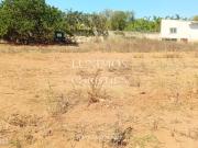 Terreno para construo de moradia, para venda em praia da...
