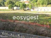 Terreno para construo em Alcobaa