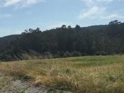 Terreno para construo em Fonte Arcada E Oliveira de...