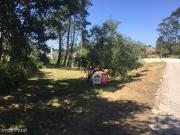 Terreno Para Construo em So Mamede!