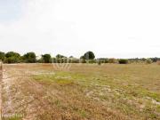 Terreno para construo nos Brejos, regio da Comporta