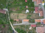 Terreno para construo plano com oliveiras situada a 2 km...