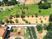 Terreno Para Construo T5 Venda em So Joo de Lourosa,Viseu