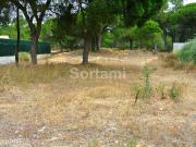 Terreno Para Construo Venda em Almancil,Loul