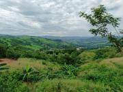 TERRENO PARA CUALQUIER TIPO DE PROYECTO DE 7HAS PRECIO...