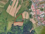 Terreno para cultivo com 3.000 m2 em Argoncilhe