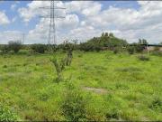 Terreno para desarrollo de Vivienda o Industrial en...